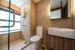 Holland Link (D10), Terrace #503034861